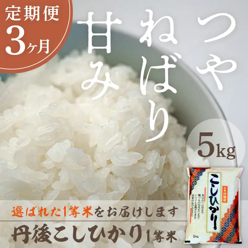 【定期便3回】令和8年産 丹後こしひかり 5kg×3ヵ月 1等米　お米 コメ こめ 丹後 コシヒカリ 精米 ふるさと 納税 コシヒカリ 精米 ふるさと 納税 こしひかり 精米 ふるさと 納税 米