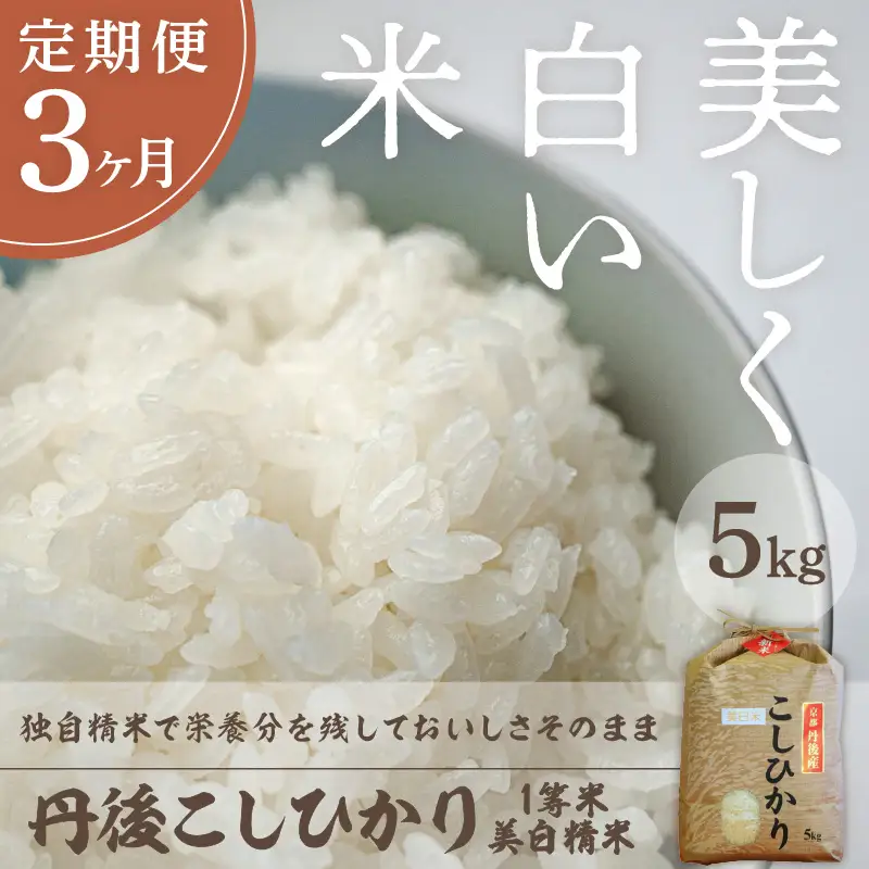 【定期便3回】令和8年産 美白精米 丹後こしひかり 5kg×3ヵ月 1等米