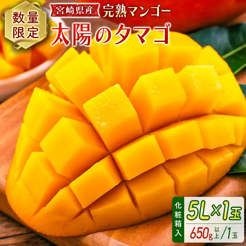 2027年出荷 宮崎 完熟マンゴー 太陽のタマゴ 5L×1玉 650g以上 D114-27