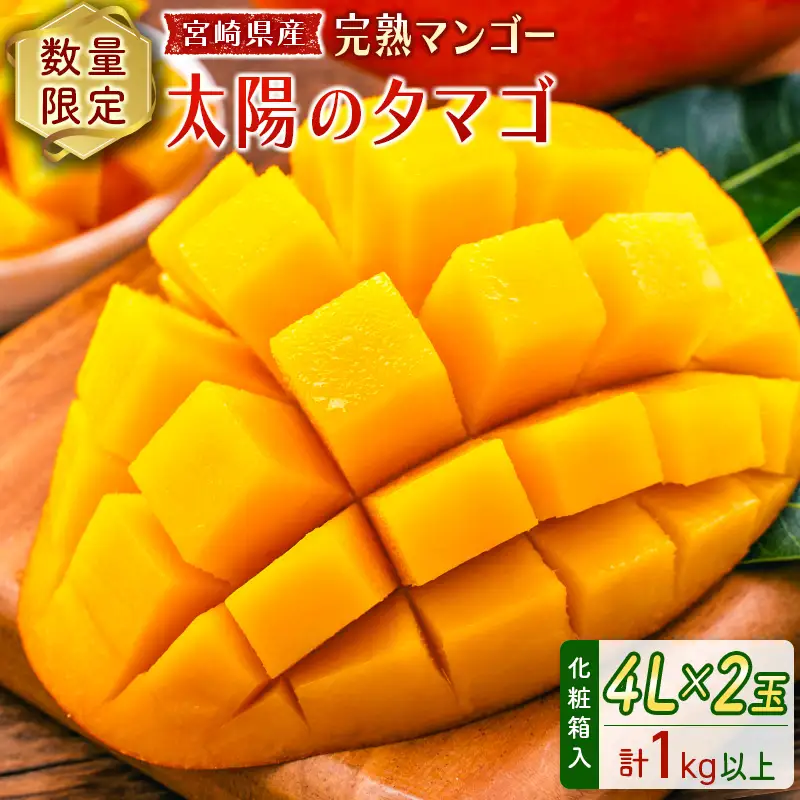 2027年出荷 宮崎 完熟マンゴー 太陽のタマゴ 4L×2玉 計1kg以上 E169-27