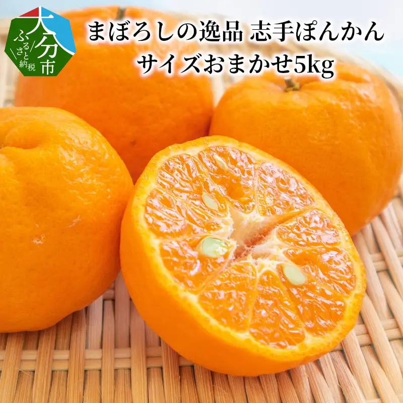 【2027年1月下旬より発送】【大分市名産】まぼろしの逸品 志手ぽんかん サイズおまかせ5kg C09020