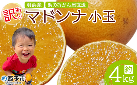 紅まどんなと同品種！＜訳あり マドンナ 約4kg（小玉） 浜のみかん屋直送＞ 明浜産 果物 フルーツ みかん オレンジ 柑橘類 愛媛果試第28号 ご家庭用 自宅用 食べて応援 特産品 産地直送 愛媛県 西予市【常温】『2024年12月上旬～12月中旬迄に順次出荷予定』AHM0004