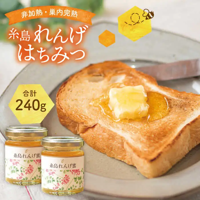 糸島 れんげはちみつ 120g×2【ヴァンベールフーズ】レンゲ / 蜂蜜 / れんげ蜜 [AFJ003]