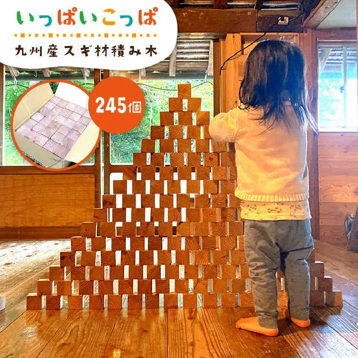 いっぱいこっぱ（大） 積み木 《糸島》【産の森学舎】 [ABC003]