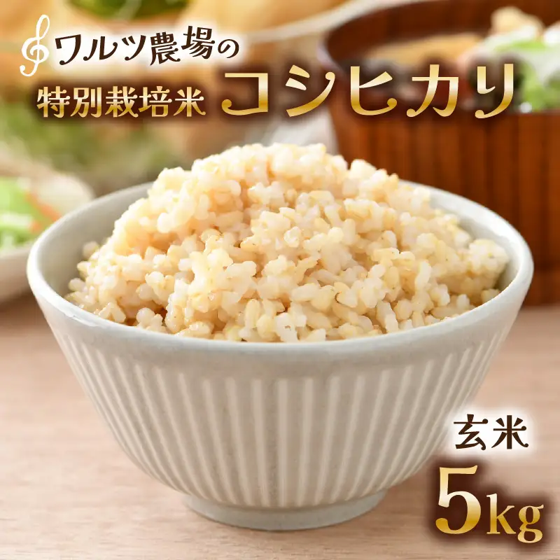 【先行予約】【令和8年産 新米】ワルツ農場のコシヒカリ 玄米 5kg 特別栽培米【納得の美味しさ】減農薬 有機肥料使用 / お米 ご飯 つや 艶 甘味 旨み あわら市 米の王様 こしひかり ブランド米 北陸 あわら市産 福井県産 ※2026年10月下旬以降発送予定 [aw046-a008]