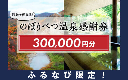 【ふるなび限定】のぼりべつ温泉感謝券300，000円分 FN-Limited-PR