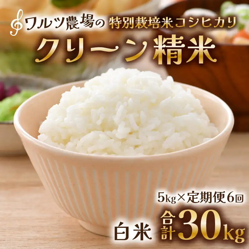 【先行予約】【令和8年産 新米】《定期便6回》ワルツ農場のコシヒカリ クリーン精米 5kg 計30kg 特別栽培米【納得の美味しさ】減農薬 有機肥料使用 / お米 ご飯 白米 発送直前 精米 つや 艶 甘味 旨み 北陸 あわら市産井県産 ブランド米 ※2026年11月上旬以降発送予定 [aw046-h001]