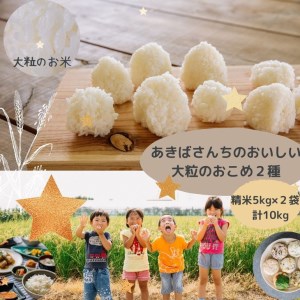 令和4年産　あきばさんちのおいしい大粒のおこめ２種（精米5kg×２袋）計10kg_CR01