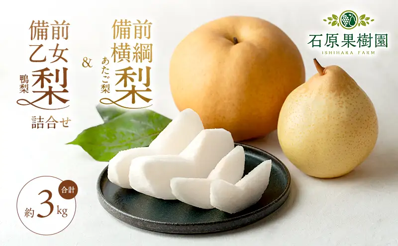 梨 2026年 先行予約 備前横綱梨（あたご梨）1玉 (1～1.5kg) 岡山県産 梨