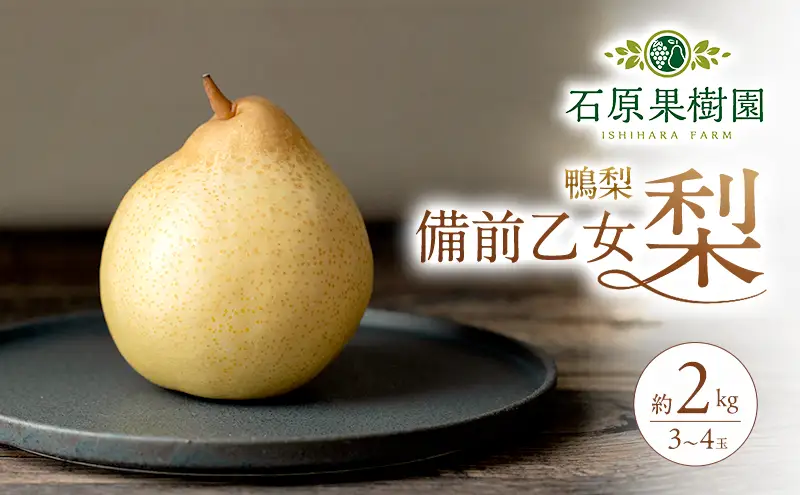 梨 2026年 先行予約 備前乙女梨（鴨梨） 3～4玉 合計約2kg 岡山県産 梨