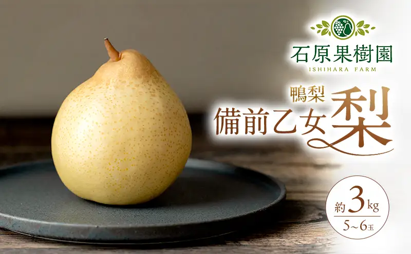 梨 2026年 先行予約 備前乙女梨（鴨梨） 5～6玉 合計約3kg 岡山県産 梨