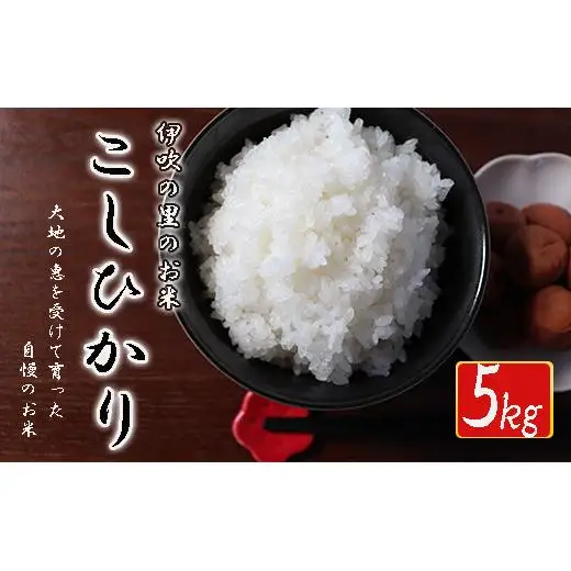 ≪令和8年産≫ ほたるの集う田んぼの米 こしひかり 約5kg