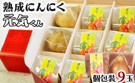 青森県産熟成にんにく元気くん　セットＡ 【送料無料 青森県 七戸町 にんにく ガーリック 野菜 低臭真空処理 黒にんにく】　【670286】