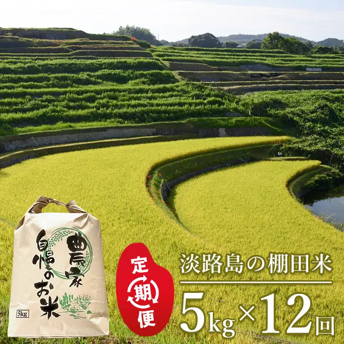 【定期便】淡路島の棚田米　5kg×12回（毎月発送）白米