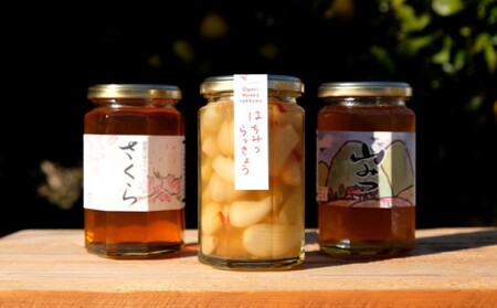 はちみつ らっきょう セット 国産 天然 純はちみつ 370g×2本 やまみつ＆さくら、はちみつらっきょう 300g ハニーベル 