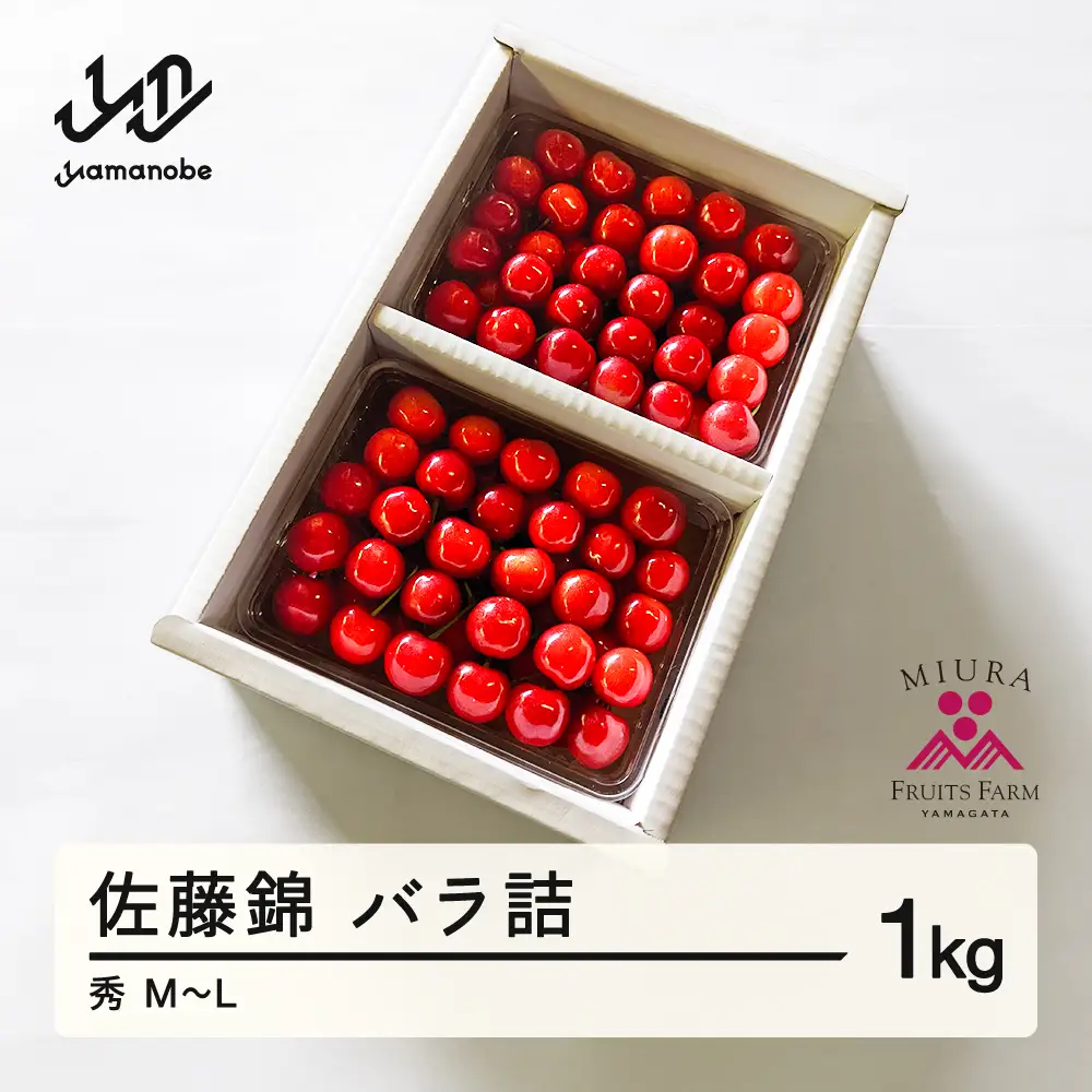 《先行予約》2027年 山形県産 令和9年産 さくらんぼ 佐藤錦 バラ詰1kg 秀 M~Ｌ ※沖縄・離島への配送不可  F20A-898