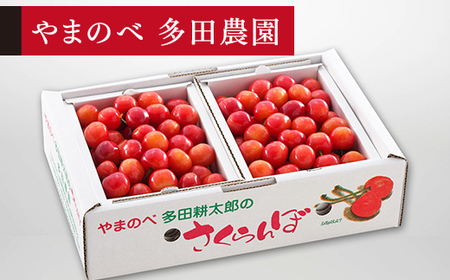 《先行予約》2027年産 山形県産 佐藤錦 バラ詰め（パック）1kg やまのべ多田耕太郎のさくらんぼ サクランボ F20A-048