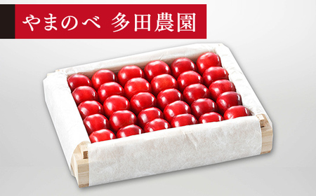 《先行予約》2027年産 山形県産 特選「真夏のルビー紅姫」 桐箱詰め約300g やまのべ多田耕太郎のさくらんぼ サクランボ F20A-052
