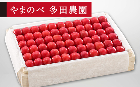 《先行予約》2027年産 山形県産 特選佐藤錦 桐箱詰め 約1100g やまのべ多田耕太郎のさくらんぼ サクランボ F20A-060