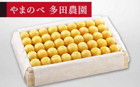 《先行予約》2027年産 山形県産 特選月山錦 桐箱詰め約1100g やまのべ多田耕太郎のさくらんぼ サクランボ F20A-064