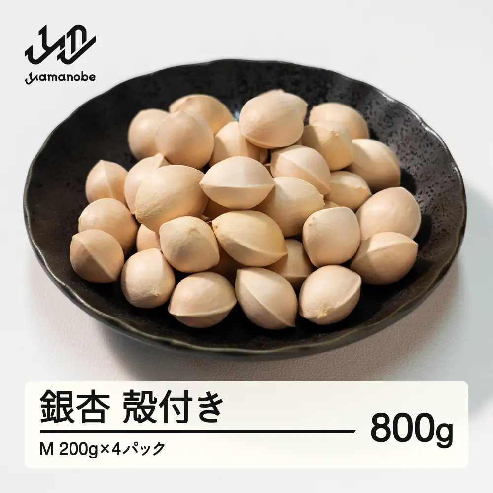 ≪先行予約≫ 2026年 山形県産 銀杏 殻付き M 約800g（200g×4パック）2026年10月上旬から順次発送 ぎんなん おつまみ 真空パック 個包装 小分け 秋 野菜 F20A-729
