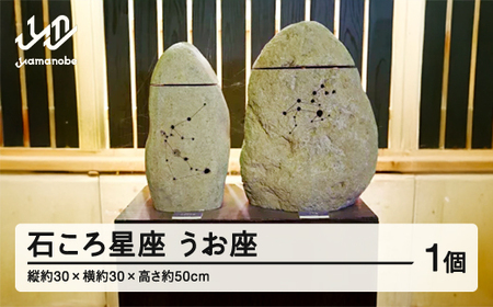 【受注生産】石ころ星座(うお座)  F20A-712