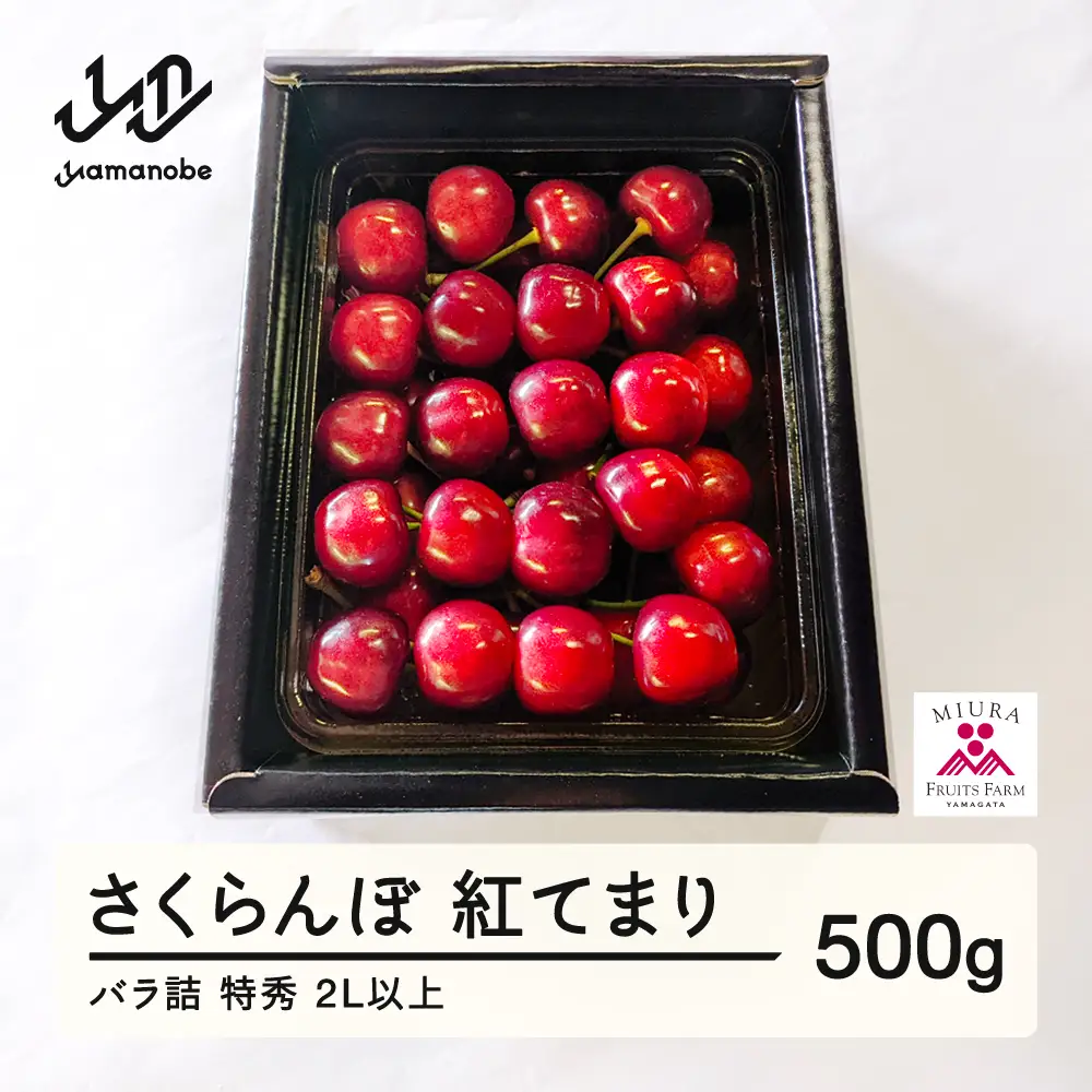《先行予約》2027年 山形県産 さくらんぼ 紅てまり バラ詰500g 特秀 2L以上 F20A-900
