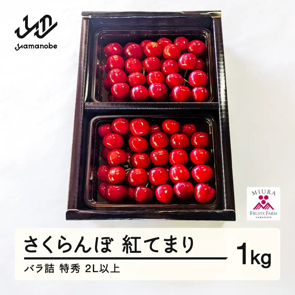 《先行予約》2027年 山形県産 さくらんぼ 紅てまり バラ詰1kg 特秀 2L以上 F20A-901