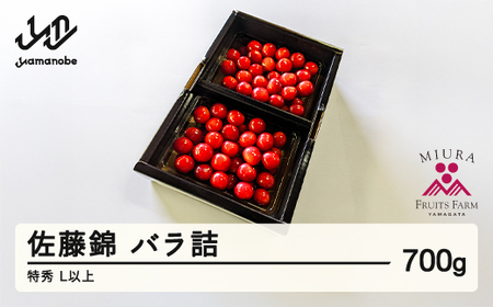《先行予約》2027年 山形県産 令和9年産  さくらんぼ 佐藤錦 バラ詰700g 特秀 L以上 ※沖縄・離島への配送不可  F20A-919