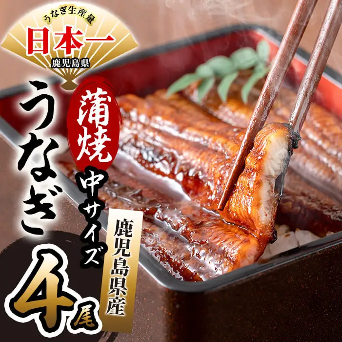 鹿児島県産 伊崎田のうなぎ蒲焼 中＜150g以上＞× 4尾(計600g以上) うなぎ 鰻 ウナギ 国産 鹿児島県産 九州産 蒲焼き 冷凍 うな重 ひつまぶし b7-020