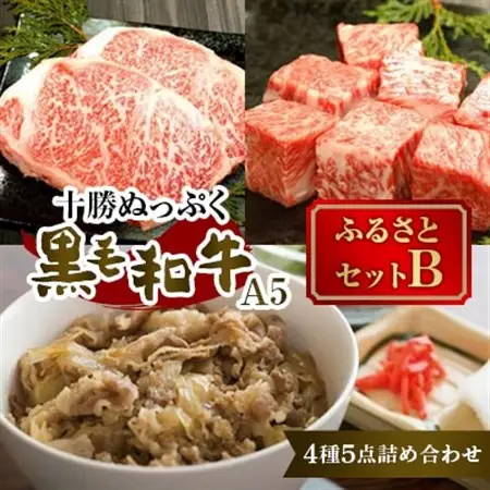 十勝ぬっぷく黒毛和牛(A5)  ふるさとセットB(サーロイン・内もも・サイコロステーキ、牛丼)_肉 ステーキ 牛肉 ビーフステーキ  肉  牛肉 _【配送不可地域：離島】【1146989】