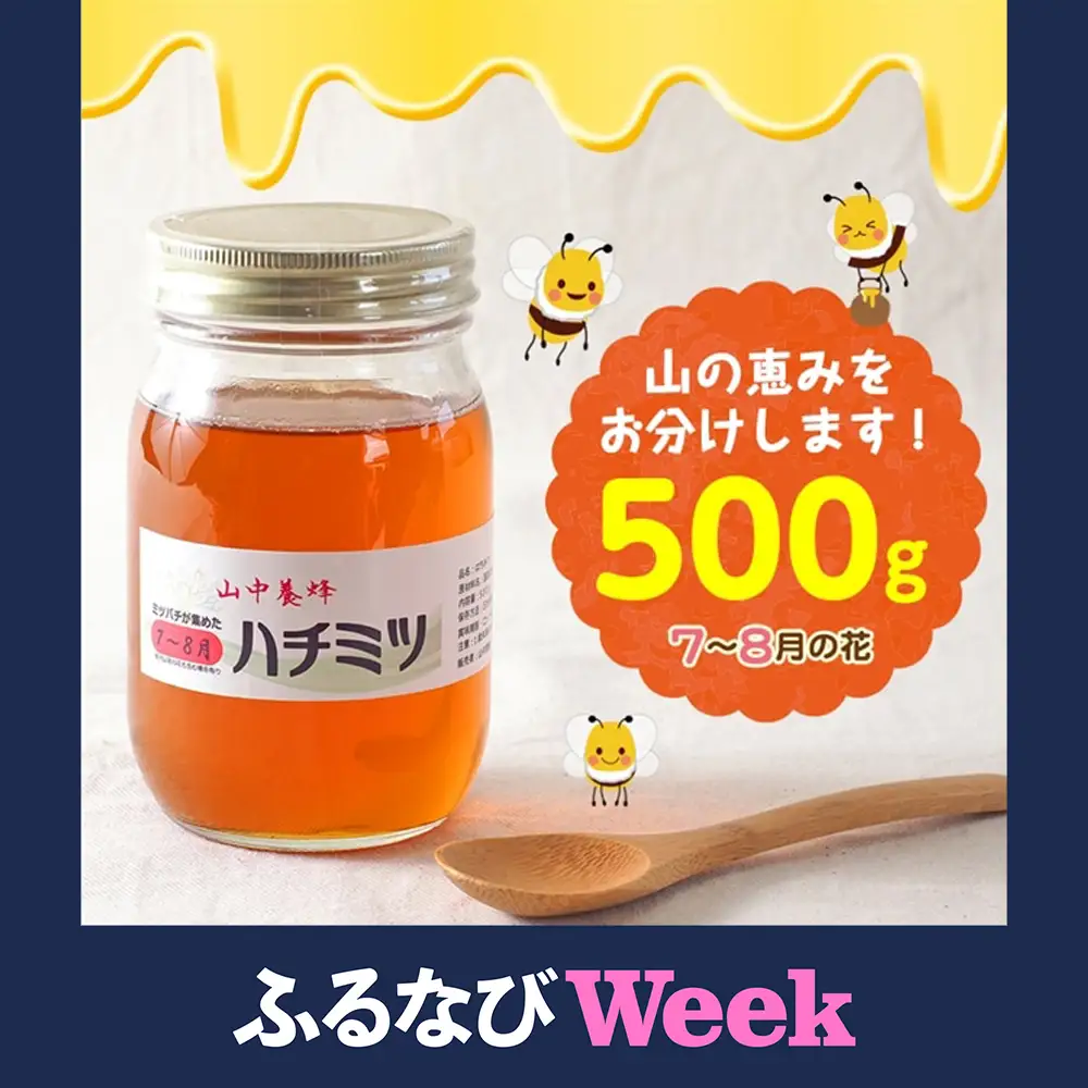 【ふるなびWEEK対象】【自然のまま】富津産ハチミツ500g（7～8月の花）