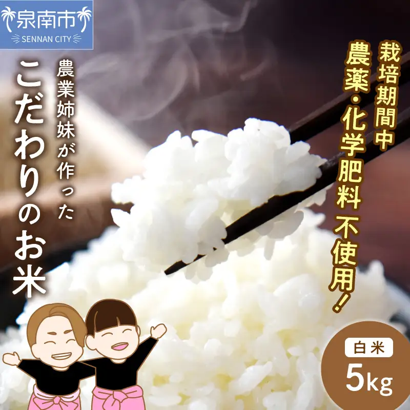 農業姉妹がこだわって栽培！こだわりのお米 白米5kg【024D-005】