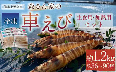 ＜ R8年熊本地震復興支援 ＞【加熱用・生食用セット】森さん家の冷凍 車えび 1200g えび 車海老 刺身