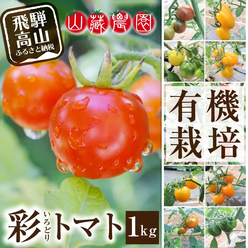 【2026年夏】飛騨高山産 有機栽培 トマト「彩り トマト」 1kg |  JC007
