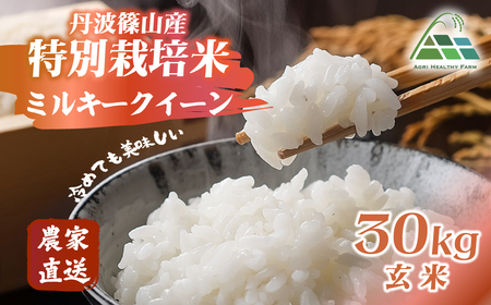 【令和7年産】丹波篠山産特別栽培ミルキークイーン 玄米30kg BE14