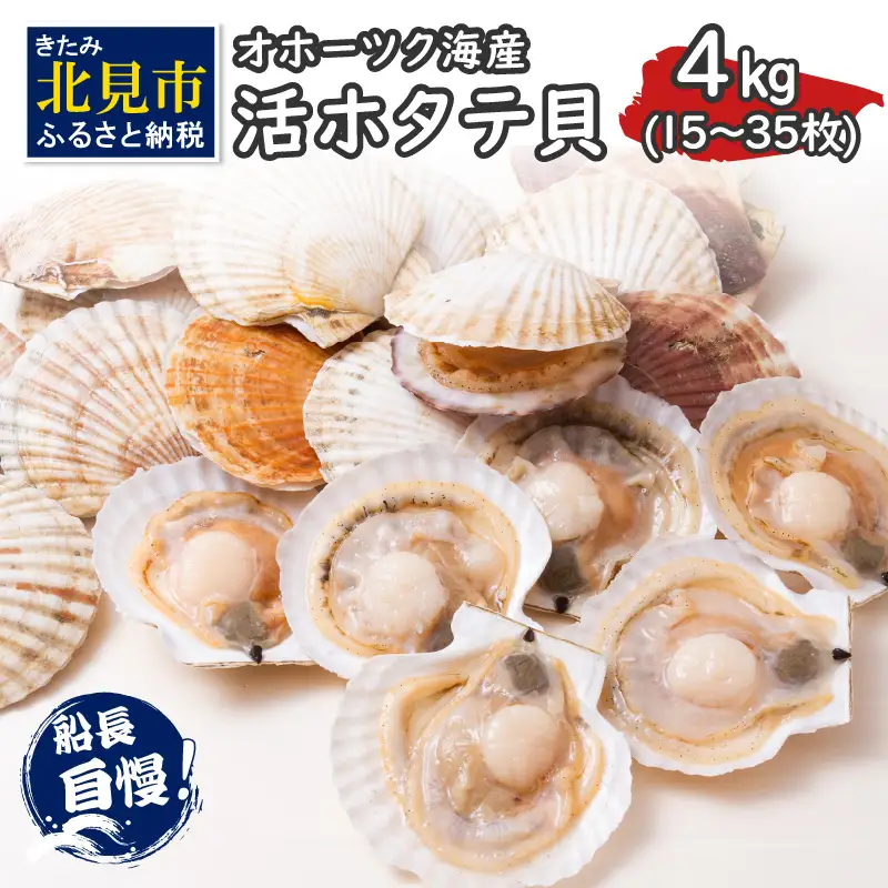 【予約：2026年4月から順次発送】とれたて新鮮！オホーツク海産 活ホタテ貝 4kg 15～35枚 ( 魚介 海鮮 貝 帆立 ほたて ホタテ 4キロ カレー シチュー 肉厚 )【114-0085-2026】