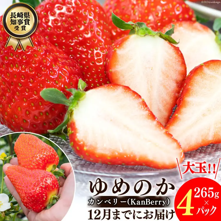 DF107【令和8年11?12月発送】長崎県知事賞受賞 大玉いちご ゆめのか 3L～5L 265g×4パック