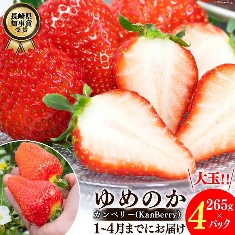 EA050【令和9年1?4月発送】長崎県知事賞受賞 大玉いちご ゆめのか 3L～5L 265g×4パック