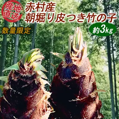 【数量限定】赤村産　朝掘り皮つき竹の子　約3kg S1