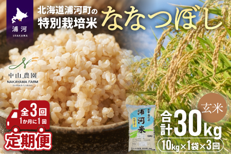 浦河の特別栽培米「ななつぼし」玄米(10kg×1袋)定期便(全3回)[37-1055]