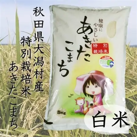 令和7年産　特別栽培米あきたこまち　白米5kg【配送不可地域：離島・沖縄県】【1283151】