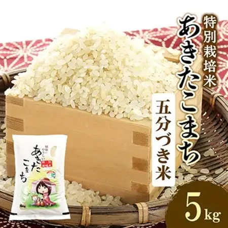 令和7年産　特別栽培米あきたこまち　五分づき米5kg【配送不可地域：離島・沖縄県】【1283153】