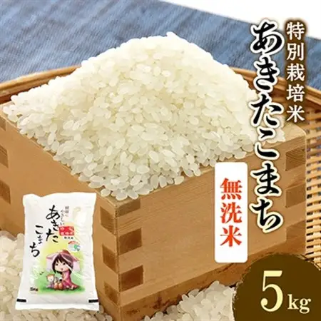 令和7年産 特別栽培米あきたこまち 無洗米5kg【配送不可地域：離島