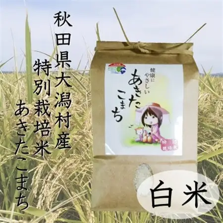 令和7年産　特別栽培米あきたこまち　白米2kg【配送不可地域：離島・沖縄県】【1283155】
