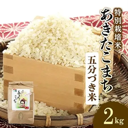 令和7年産　特別栽培米あきたこまち　五分づき米2kg【配送不可地域：離島・沖縄県】【1283156】