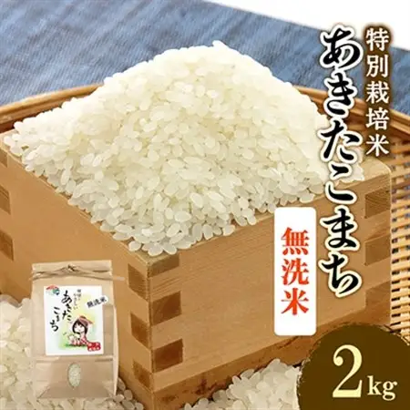 令和7年産　特別栽培米あきたこまち　無洗米2kg【配送不可地域：離島・沖縄県】【1283158】