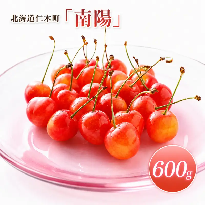 さくらんぼ 600g 南陽 Lサイズ以上 サクランボ