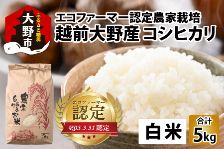 【令和7年産】【有機栽培】エコファーマー認定農家栽培 コシヒカリ5kg（白米） [A-001034]