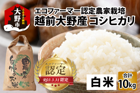 【令和7年産】【有機栽培】越前大野産 エコファーマー認定農家栽培 コシヒカリ10kg（白米）[A-001035]